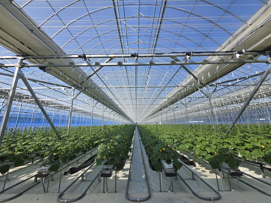 시설원예 현대화. 남원시 제공