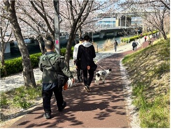 부산 북구, 지방자치단체 생산성 대상...
