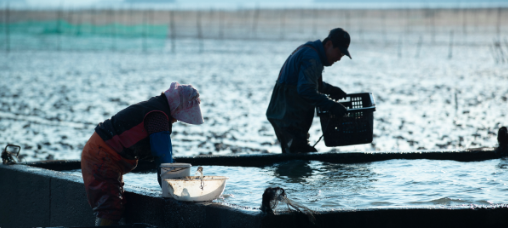 해양수산부 살기좋은 섬