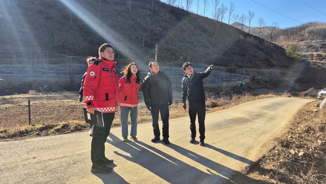 김주수 군수가 산불피해지 위험목 제거 특별안전점검을 하고 있다. 의성군 제공