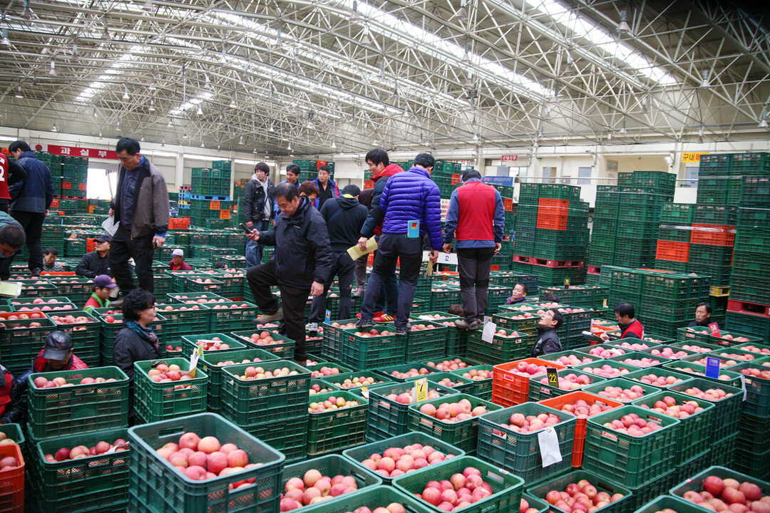 안동시농수산물도매시장, 신정 맞아 3...