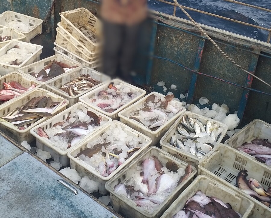 이날 아귀 등 잡어 약 230kg을 포획했음에도 조업일지에는 기재하지 않았다.