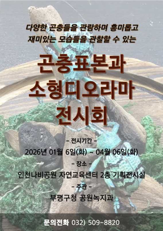 인천시 부평구청 제공