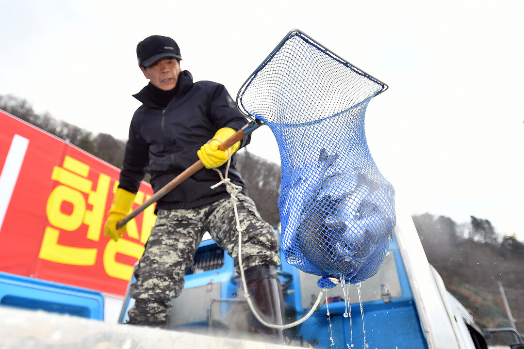 2026 얼음나라 화천산천어축제 산천...