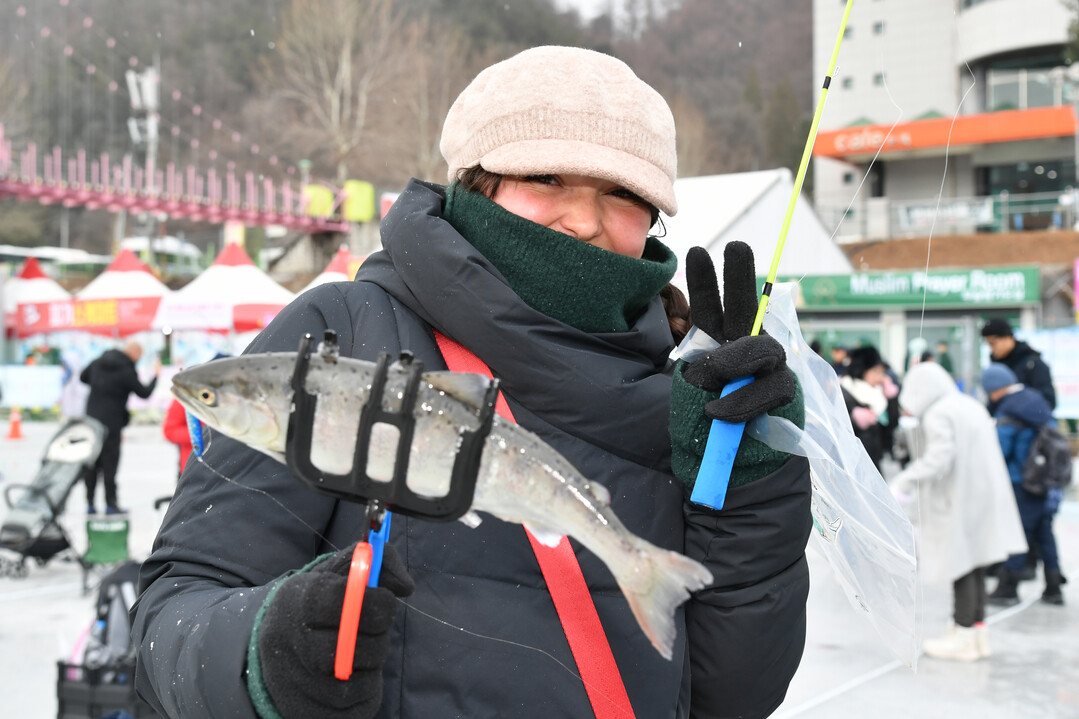 개막 이틀째인 11일, 제설 작업이 깔끔하게 마무리된 화천산천어축제장에서 관광객들이 얼음낚시를 즐기고 있다