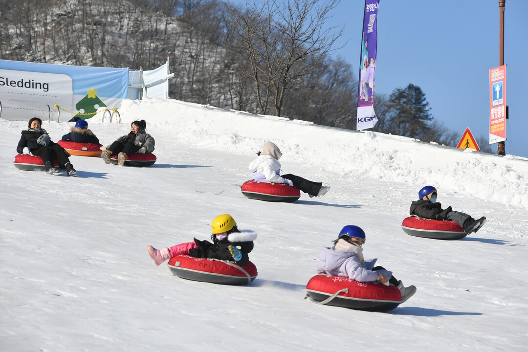 축제장에 마련된 총연장 140m의 눈썰매장에서 국내외 관광객들이 즐거운 시간을 보내고 있다.&nbsp;