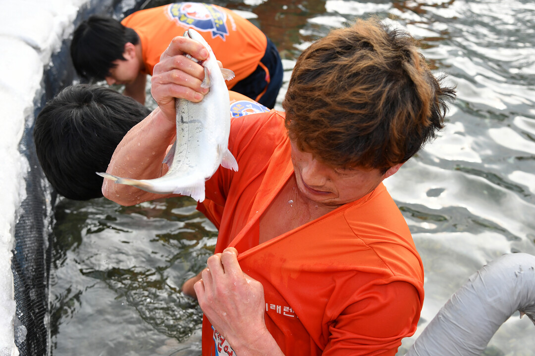 2026 얼음나라 화천산천어축제장 관...
