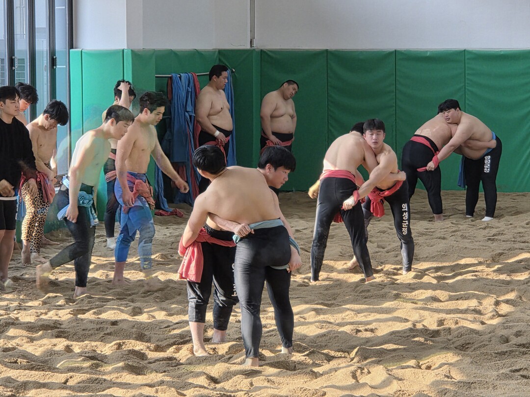 국내 씨름단 동계 전지훈련. 의성군 제공