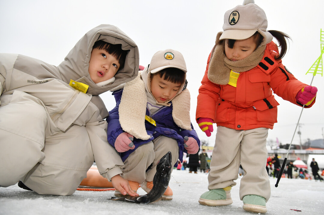 18일, 주말을 맞아 이른 오전부터 화천산천어축제장을 찾은 어린이들이 산천어를 잡고 있다. 