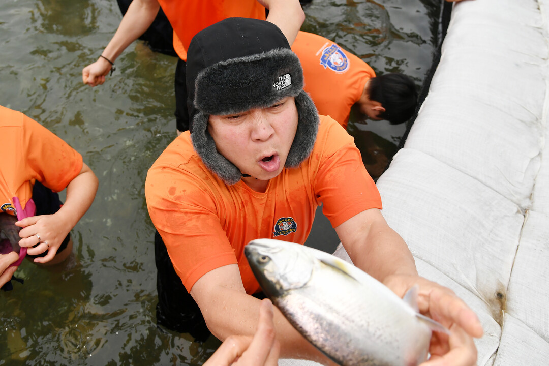 휴일을 맞아 화천산천어축제장을 찾은 관광객들이 산천어 맨손잡기 체험을 즐기고 있다.&nbsp;