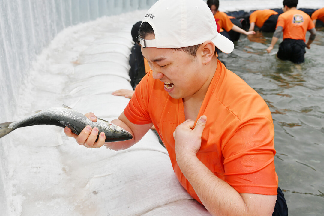 휴일을 맞아 화천산천어축제장을 찾은 관광객들이 산천어 맨손잡기 체험을 즐기고 있다.&nbsp;