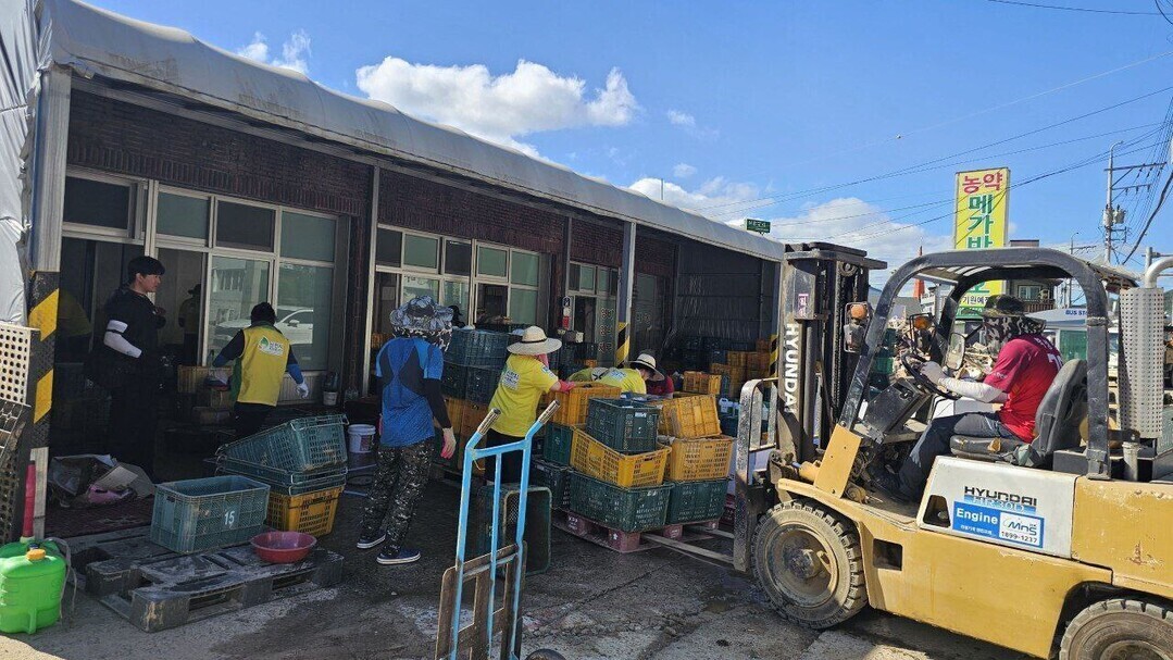 신천지예수교 자원봉사단 부산동부지부 회원 60여명이 지난해 7월 26일 경남 산청군 신안면 문대리 일대에서 같은달 중순 괴물폭우로 인한 피해 주민들의 가구에서 가재도구를 씻어 정리하고, 지게차를 이용해 물품을 옮기는 등 봉사활동을 전개하고 있다. 신천지자원봉사단 부산동부지부 제공