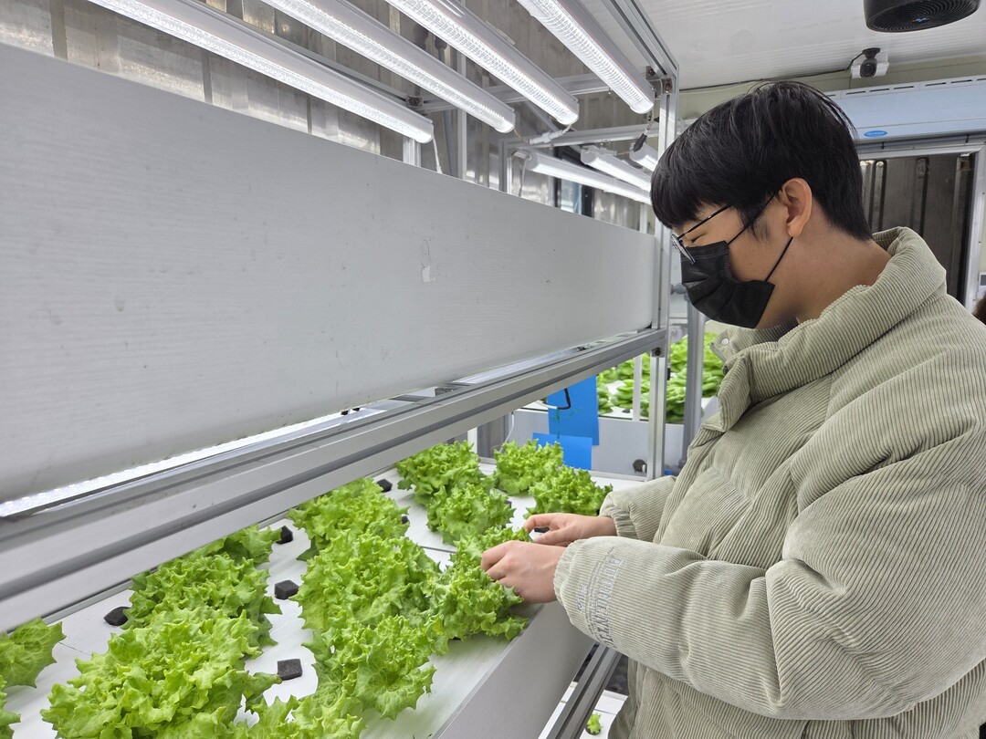 부산시교육청, 장애학생 진로·직업교육...