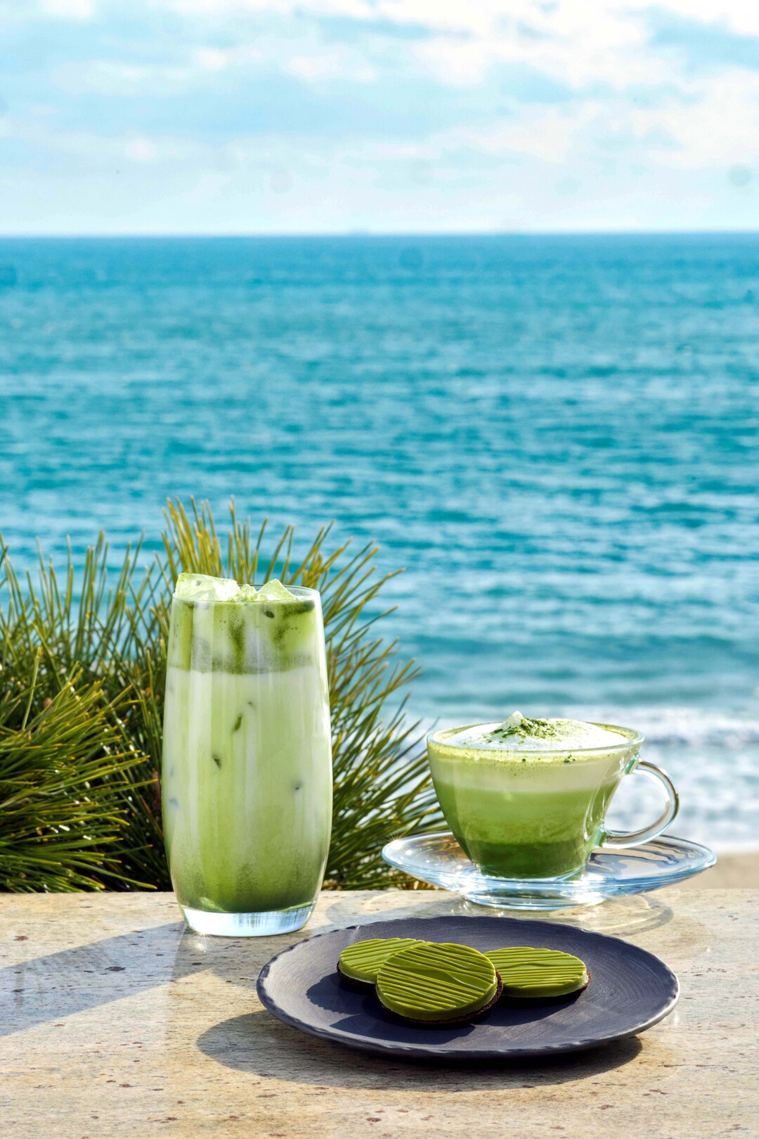 도파민 이제 그만, 파라다이스 스파서...