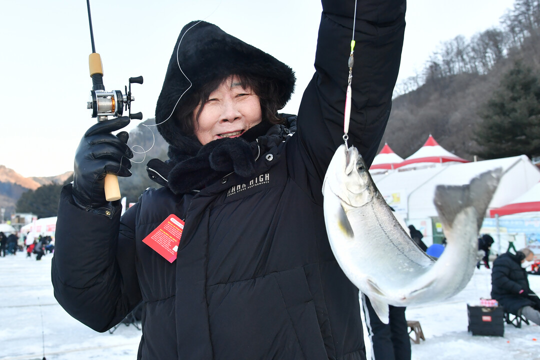 25일, 주말을 맞아 이른 아침부터 화천산천어축제장을 찾은 관광객들이 산천어 얼음낚시터에서 산천어를 낚아 올리며 즐거워하고 있다.