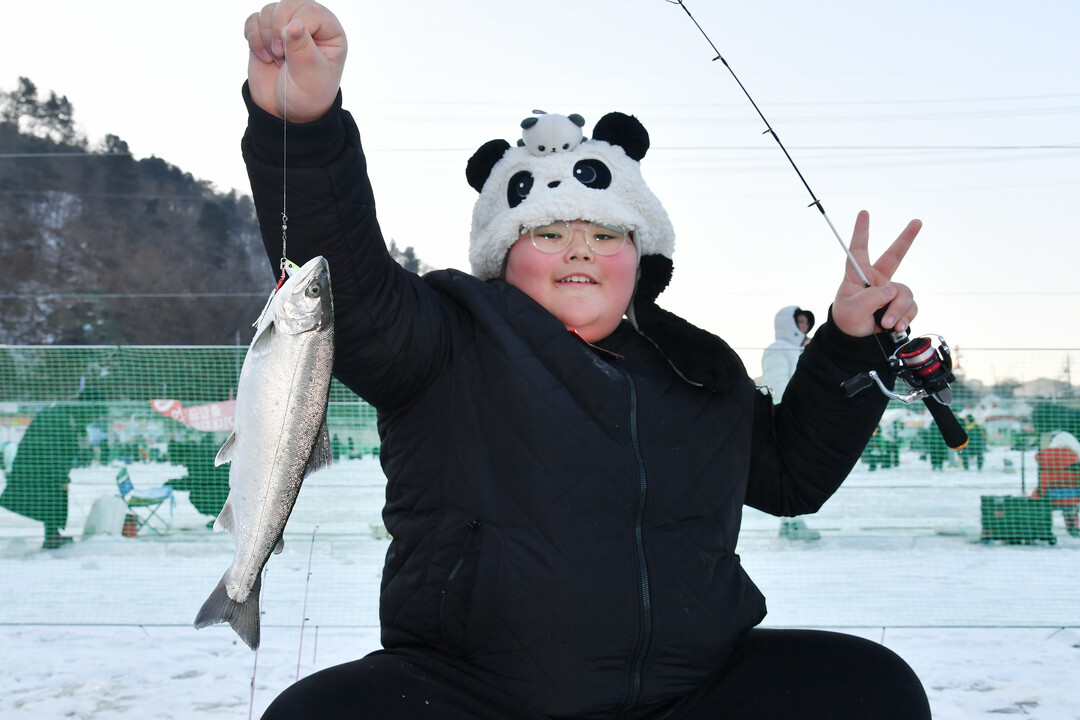  25일, 주말을 맞아 이른 아침부터 화천산천어축제장을 찾은 관광객들이 산천어 얼음낚시터에서 산천어를 낚아 올리며 즐거워하고 있다. 

