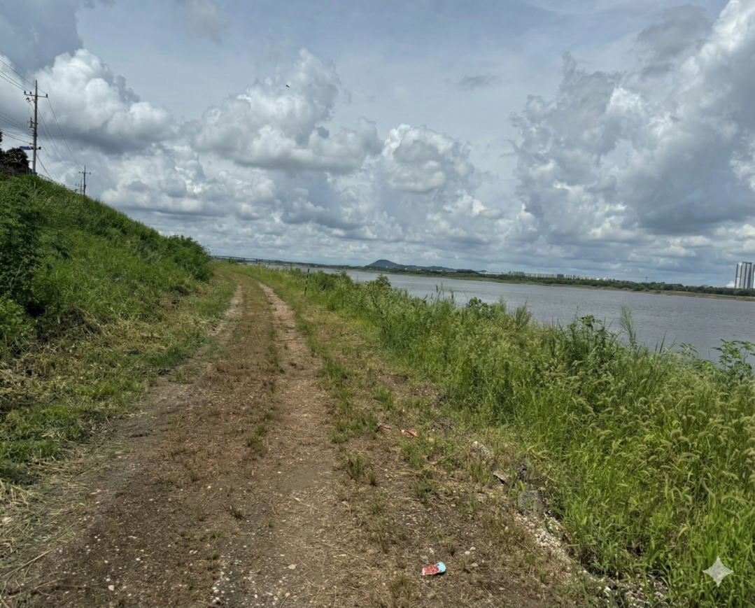 어민이동로 사진