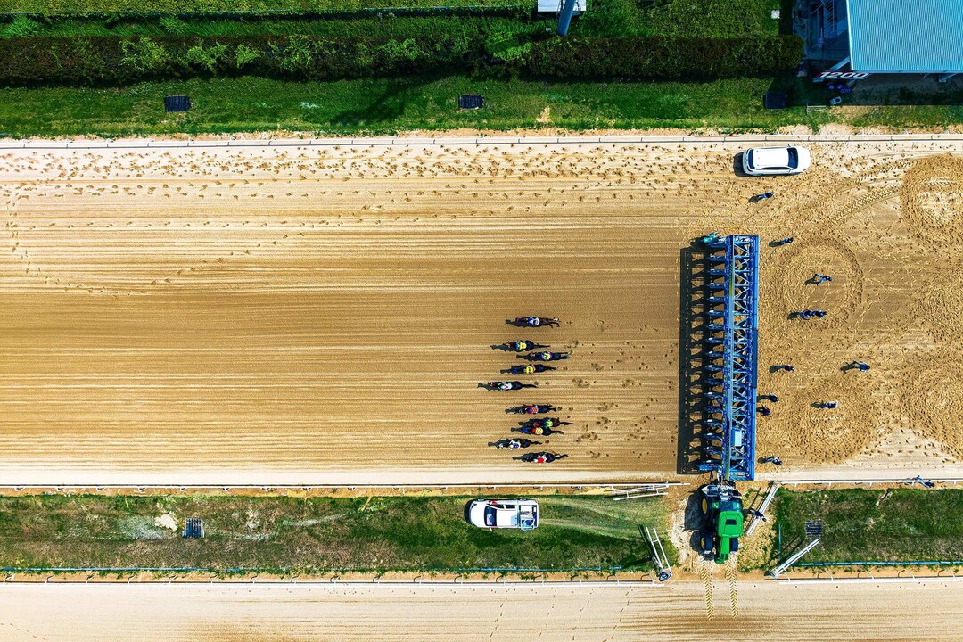부산 강서구 소재 한국마사회 렛츠런파크부산경남 경주로 스타트라인 전경. 지난주말 한 대회에서 출발 신호와 동시에 9마리의 경주마들이 힘차게 내달리고 있는 장면.  렛부경 제공 