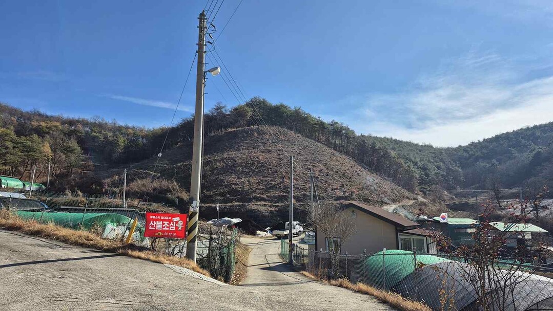 산불피해목 벌채사업. 의성군 제공