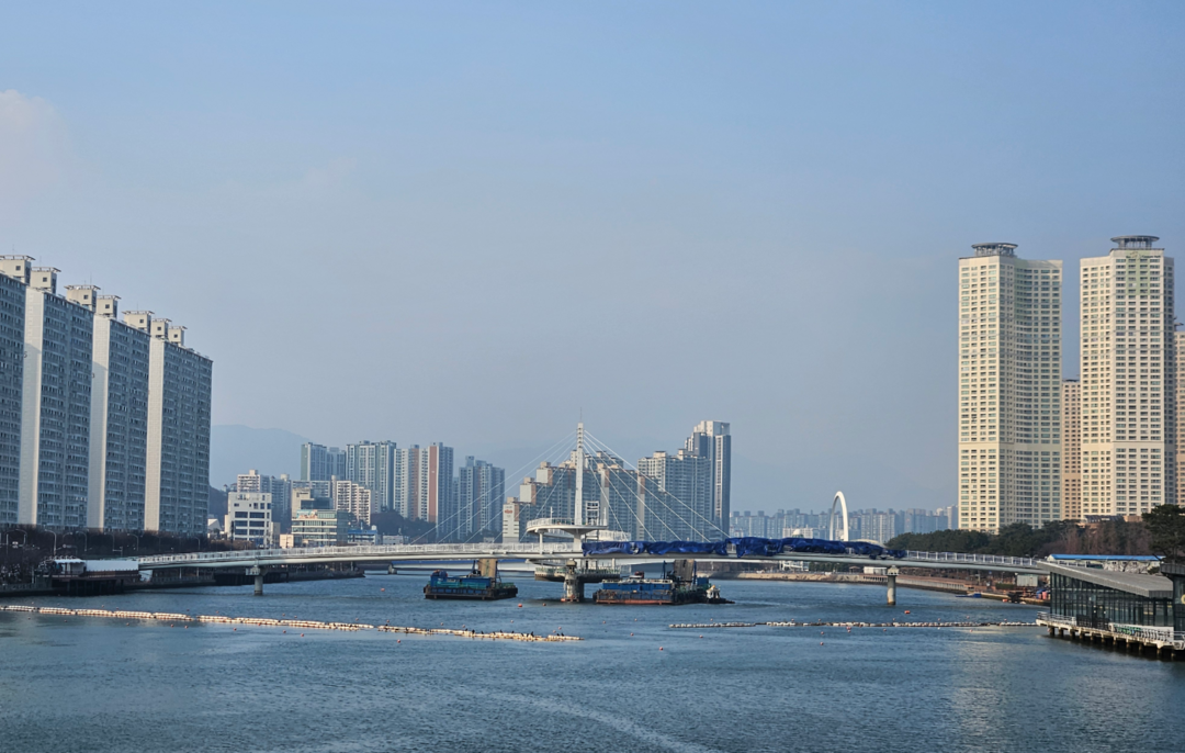 광안리~수영강~영화의전당~해운대를 잇는 수영강 경관.