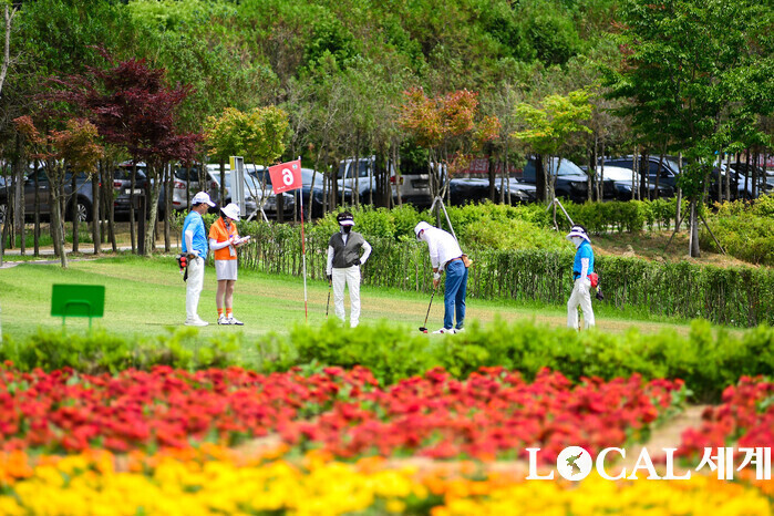 [기획]전국구로 자리 잡은 화천 파크골프…‘수도’ 넘어 사계절 스포츠 도시로 간다