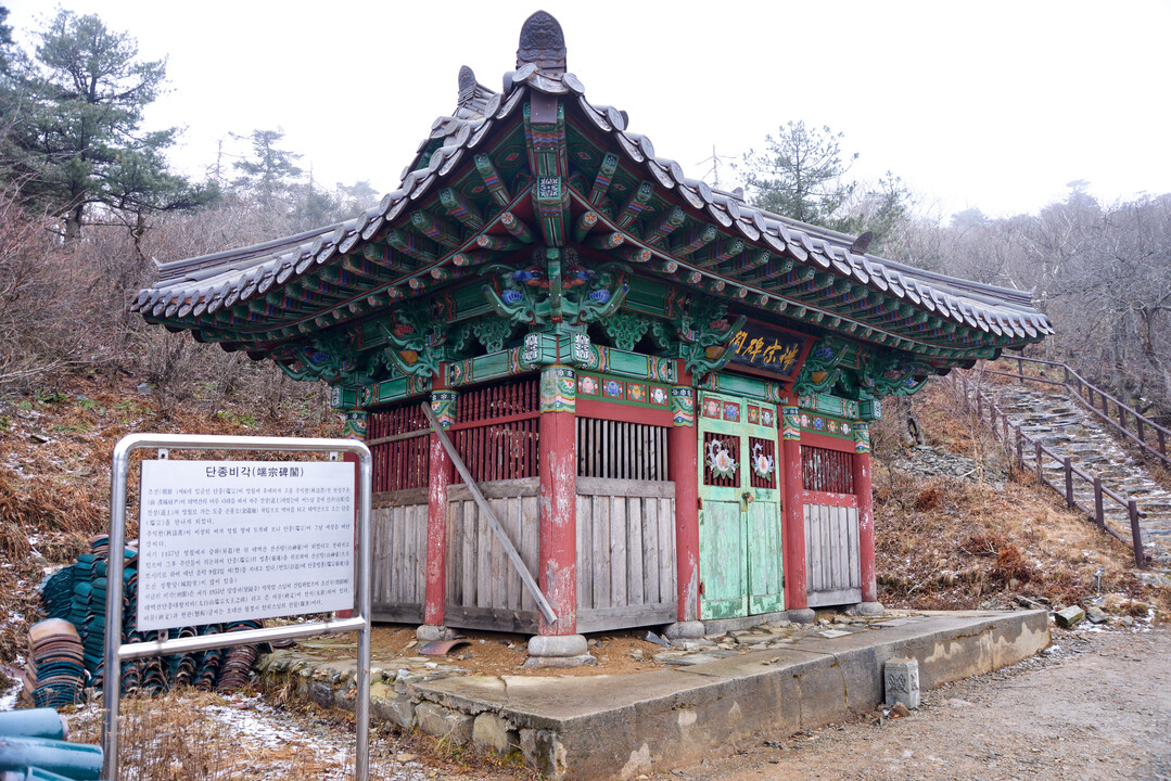 [역사]영화 ‘왕과 사는 남자’가 불러낸 단종의 기억…태백산 단종비각, 역사와 전승의 공간