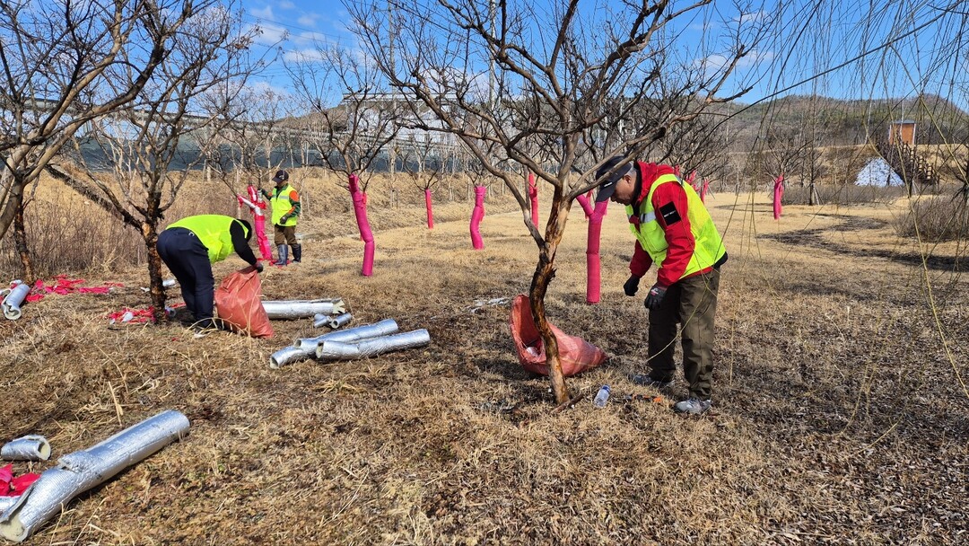 도시녹지관리원 확대 운영. 의성군 제공