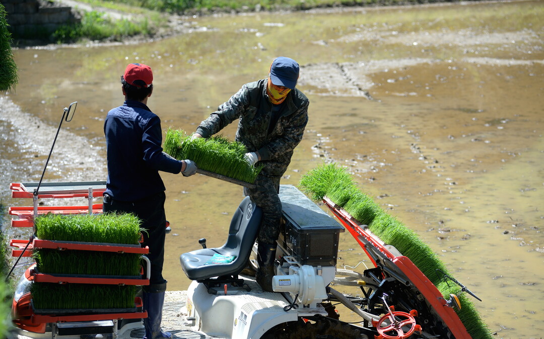 화천군 농업기술센터의 봄철 영농대행 지원사업(화천군청 제공)
