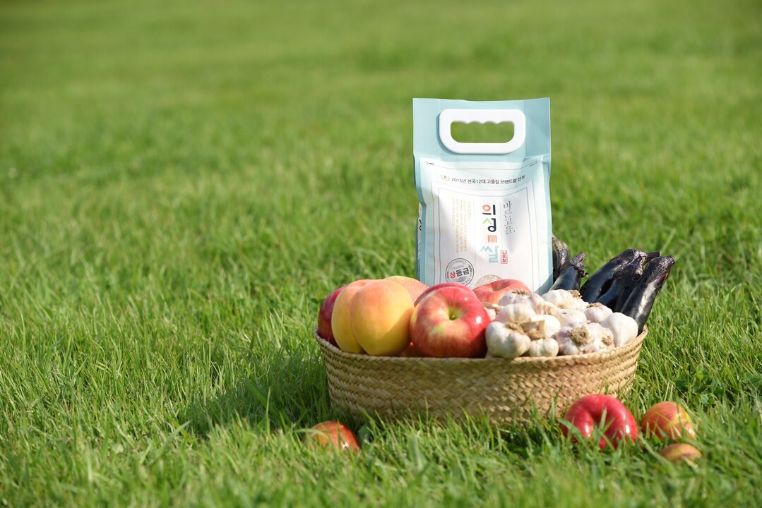 의성진 브랜드. 의성군 제공 