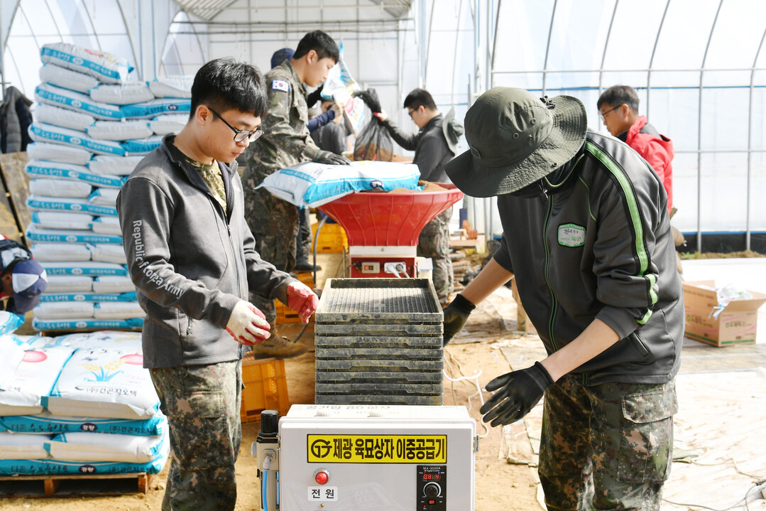 지난해 3월, 상서면 육묘은행 못자리 설치 현장에서 군장병들이 고령 농업인을 위해 대민지원에 나서고 있다(화천군청 제공)