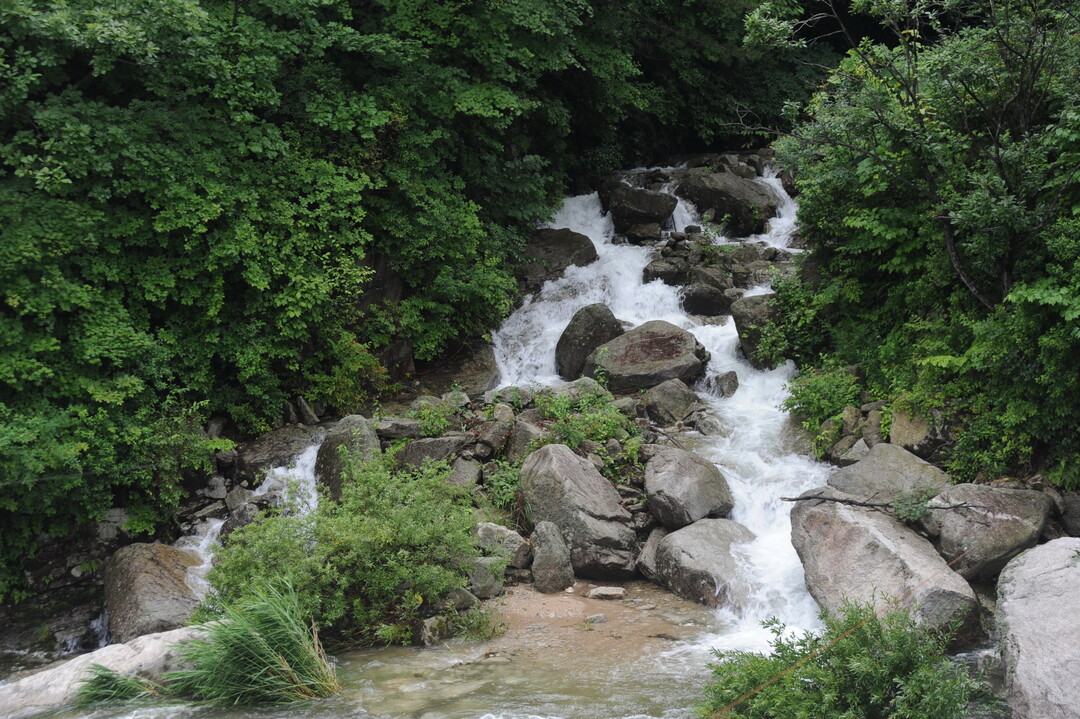 화천군이 이달부터 산간 계곡 및 하천 불법행위에 대한 강력한 단속에 나선다. 사진은 휴가철 행락객들이 즐겨 찾는 사내면 광덕리 광덕계곡 전경(화천군청 제공)