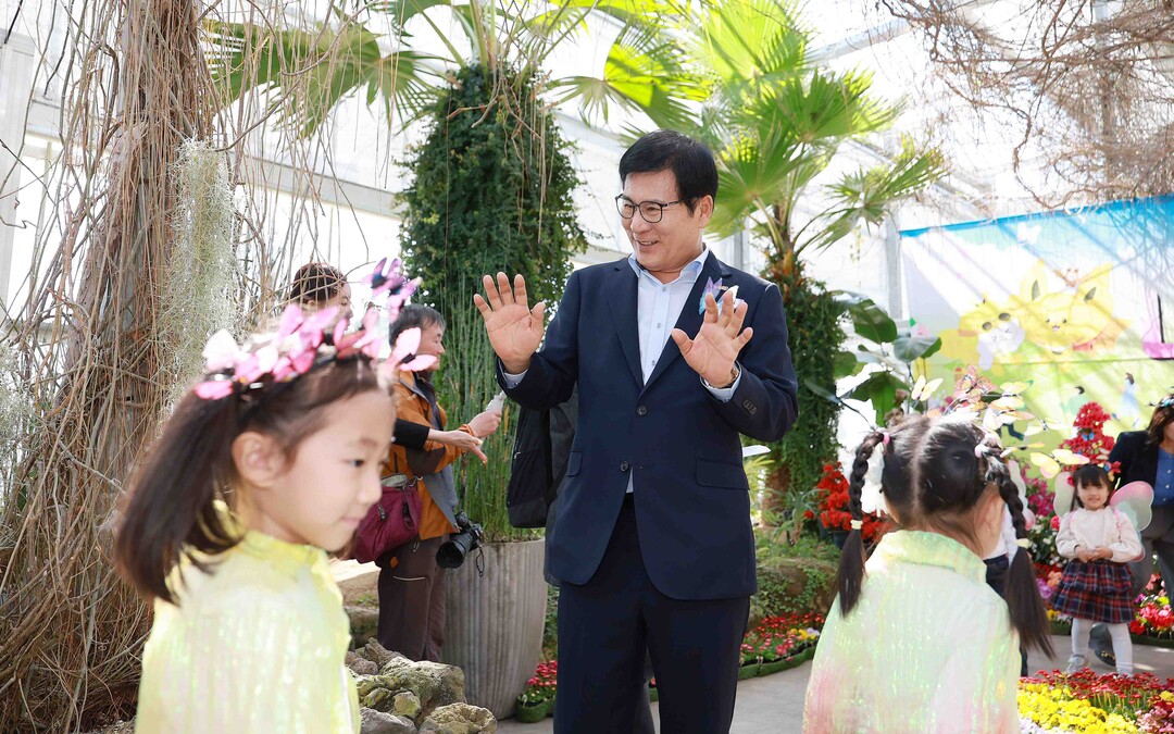 함평나비축제 성공 기원, 하늘로 날아...