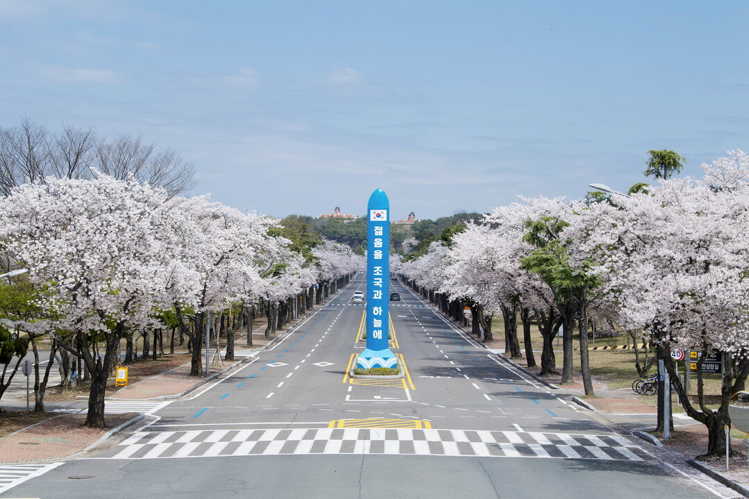 &nbsp;진주시 금산면 공군교육사령부입구에 벗꽃핀 전경.공군사령부제공