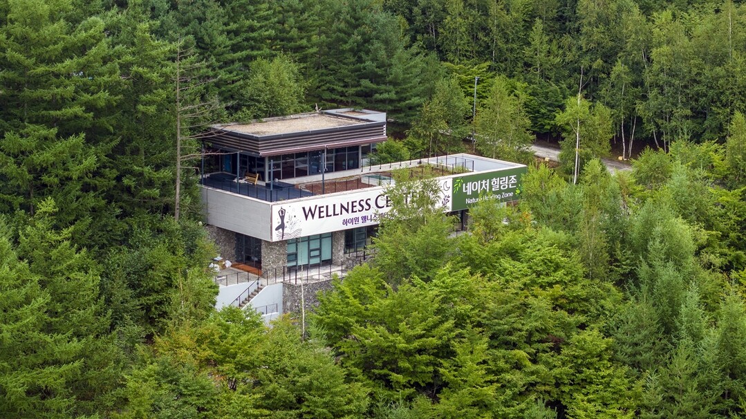 하이원리조트 웰니스센터 네이처힐링존 전경.