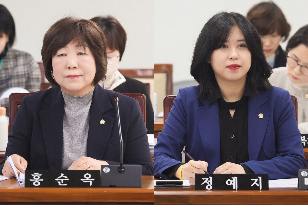 인천시 부평구의회 제공