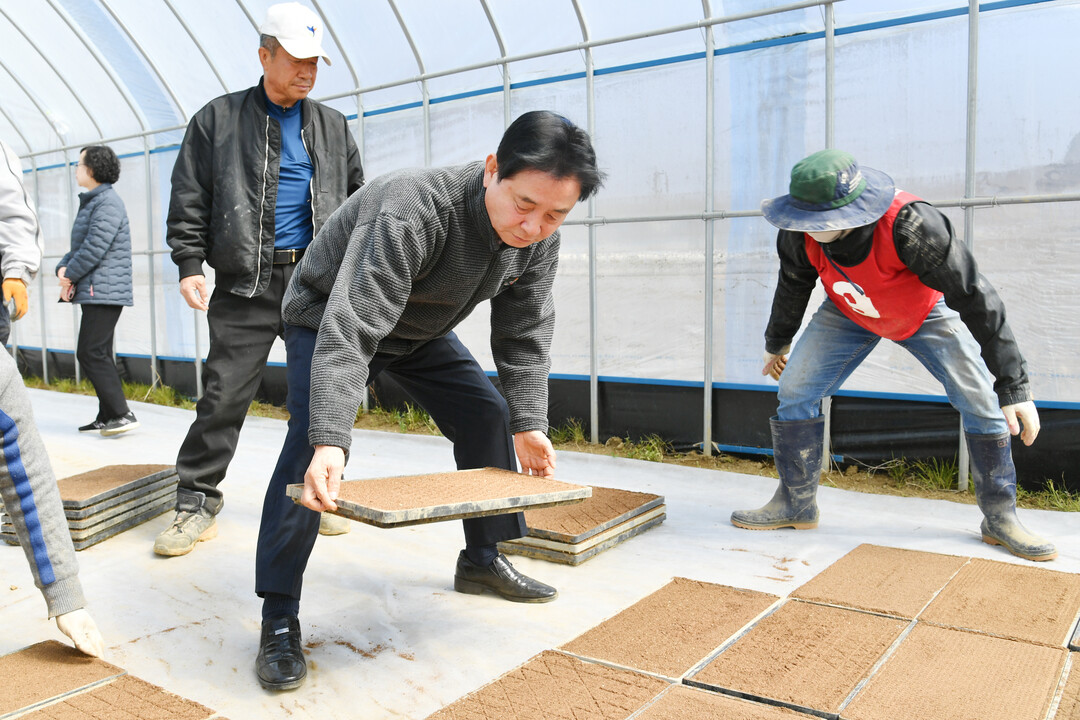 지난해 3월, 최문순 군수가 모내기철을 맞아 상서면의 한 육묘대행 농가에서 못자리를 설치하고 있다(화천군청 제공)