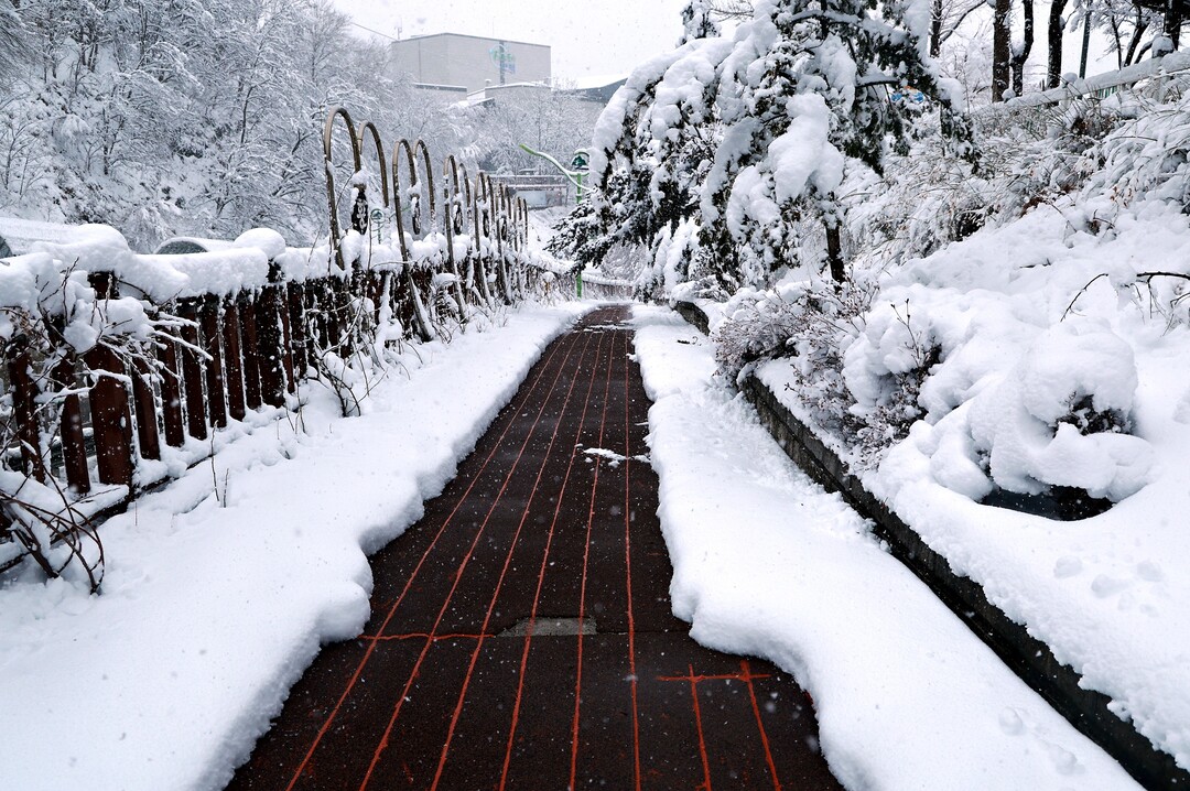 태백시, 도로 열선·가로등 설치 추진...