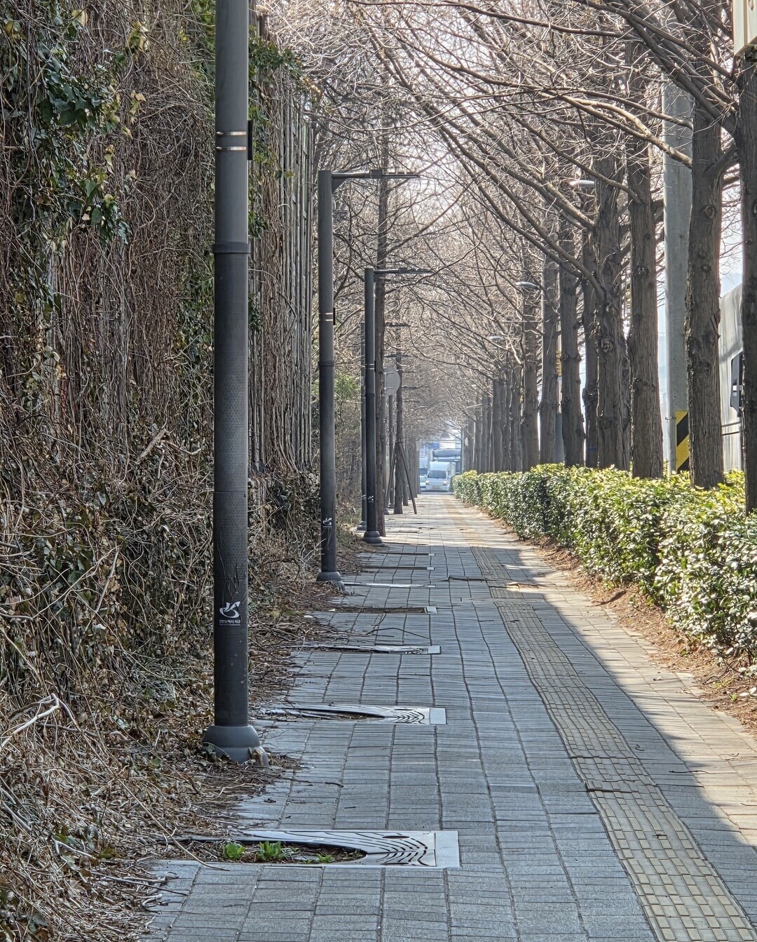 [단독] “인천 서구, 관리 부실로 ...
