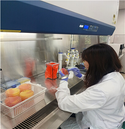 대구시, 봄 신학기 학교급식 ‘식중독...