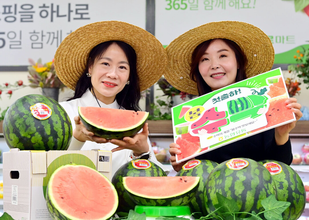 [포토] 1년을 기다려 온 수박, 건...
