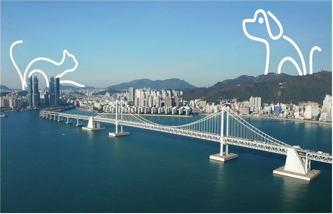 반려동물 친화도시 부산, '일...