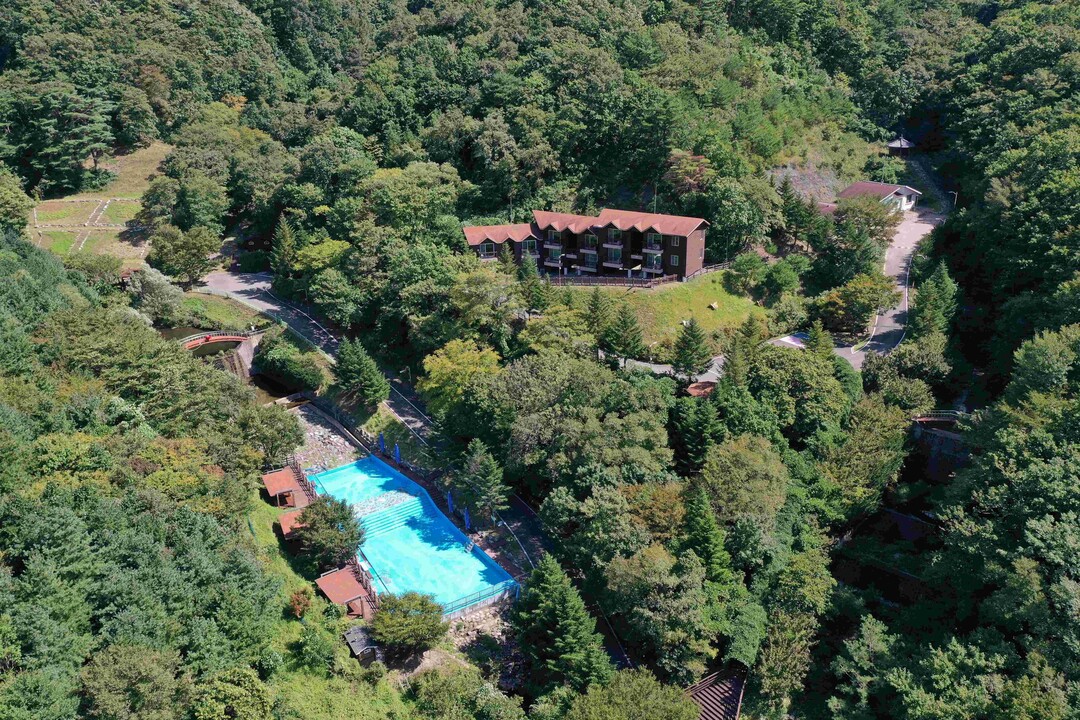 숲길체험프로그램. 의성군 제공 