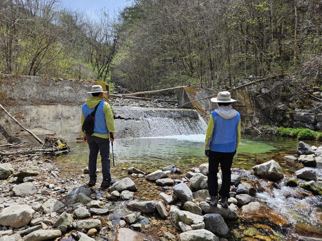 &ldquo;어르신 손길로 지킨 자연&rdquo; 태백시니어클럽, 환경부 장관표창 수상. 태백시 제공