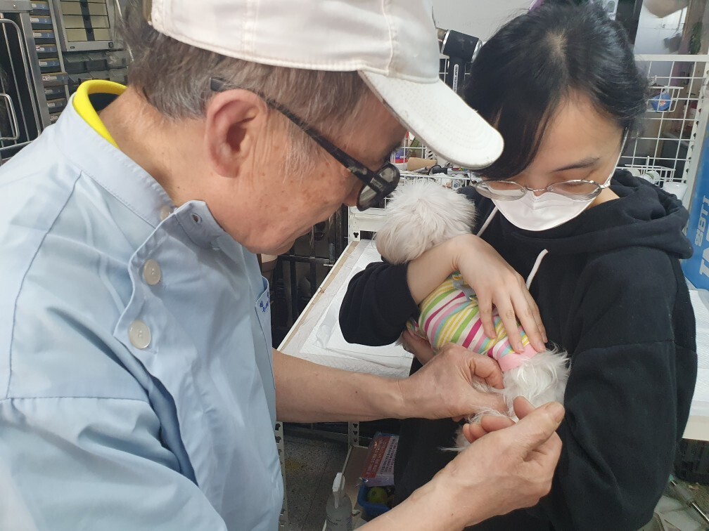 인천시 계야구청 제공