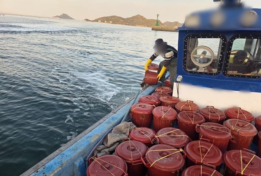 해상방류 모습.