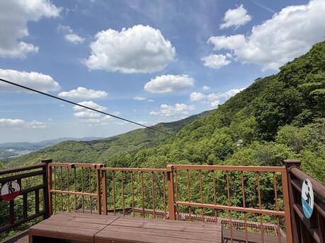 용인특례시, 용인자연휴양림 짚라인 재개장