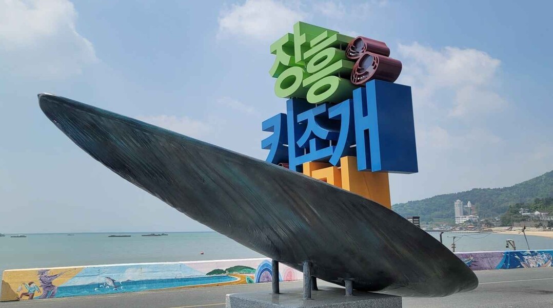 장흥군, 청정바다의 선물 …수문항 키...