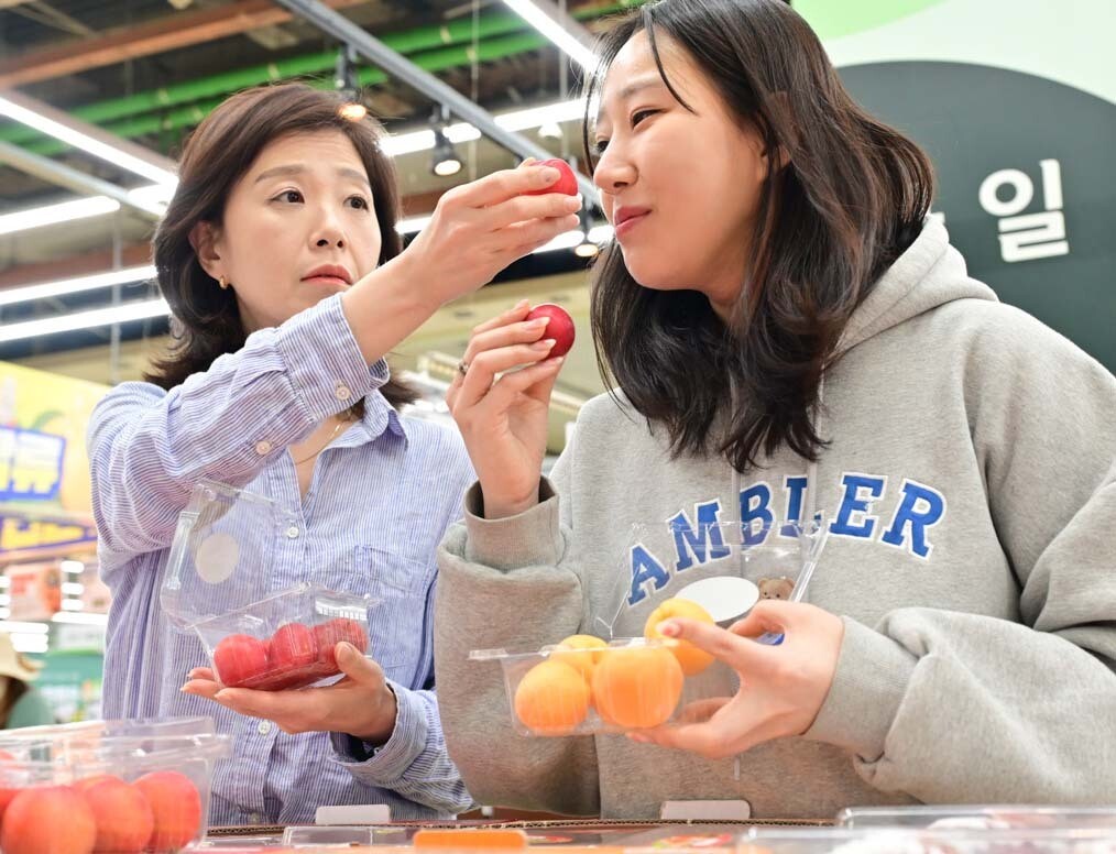 [포토] “달콤한 자두, 새콤달콤한 살구 올해 첫 판매”