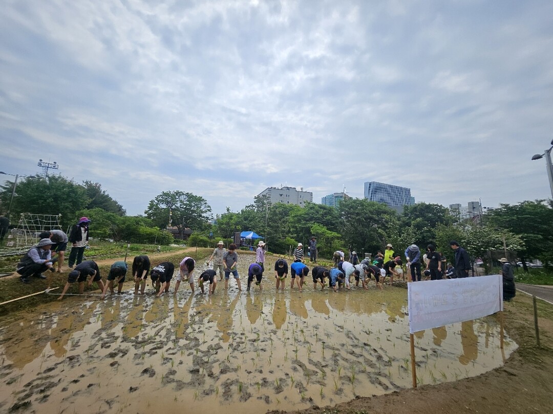 인천시 부평구청 제공
