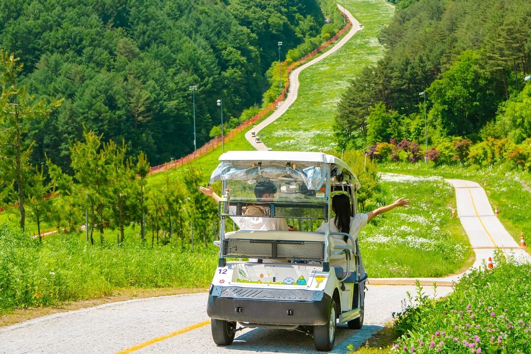 하이원리조트 카트투어 전경 사진.